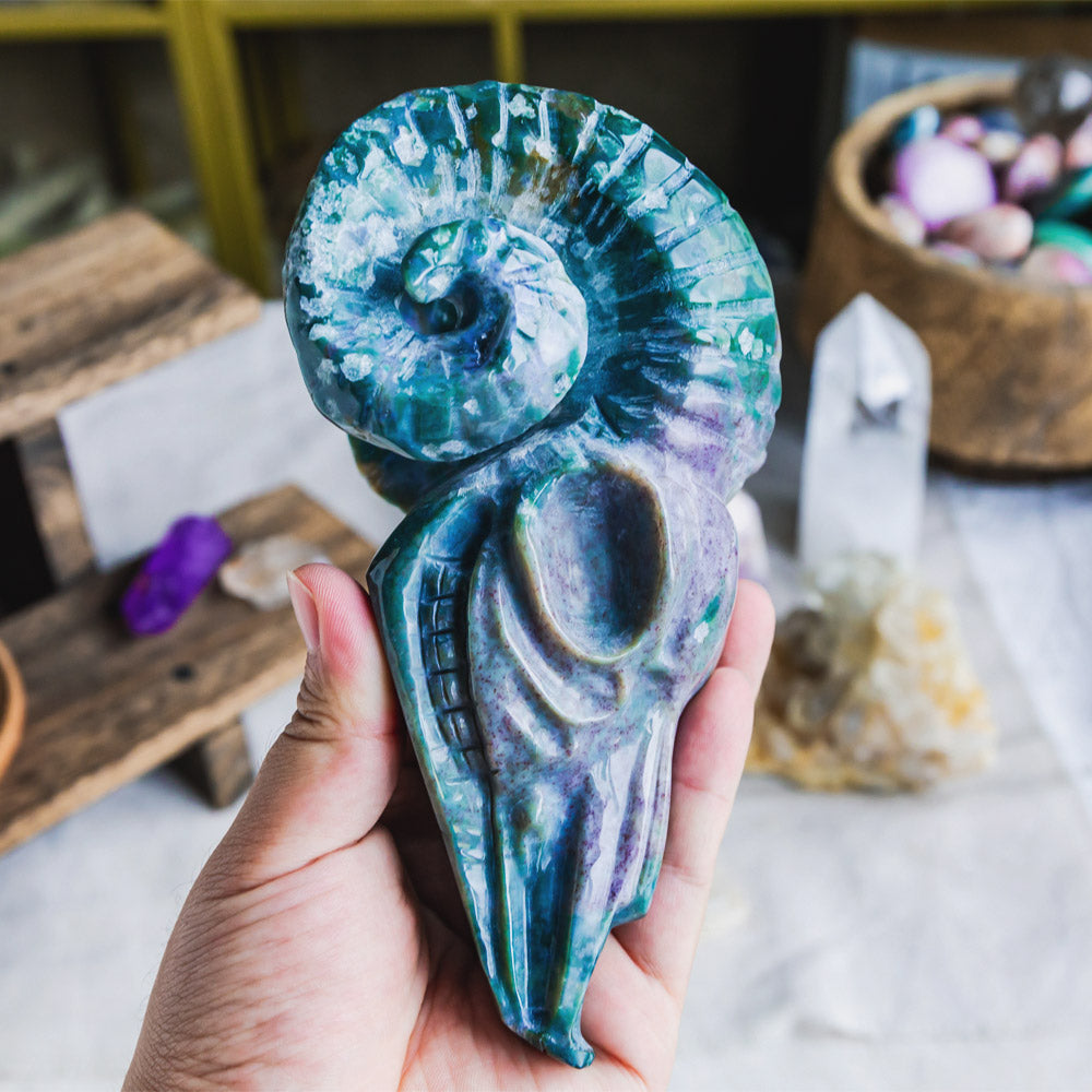 Ocean Jasper Sheep Head