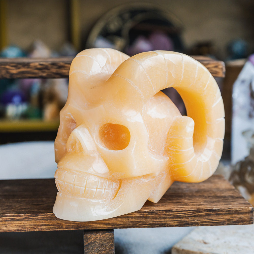 Orange Calcite Sheep Skull