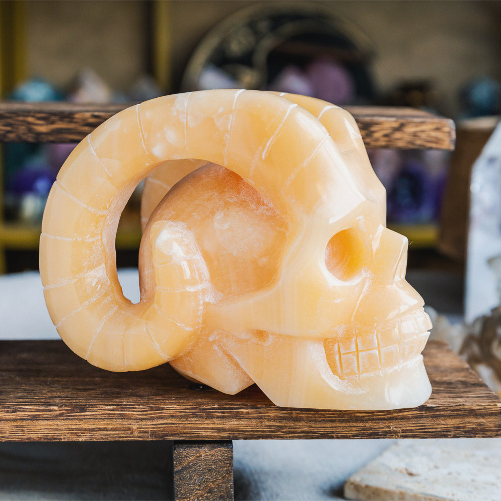 Orange Calcite Sheep Skull