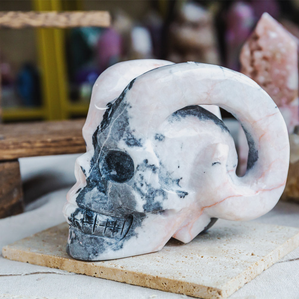 Pink Zebra Jasper Sheep Skull