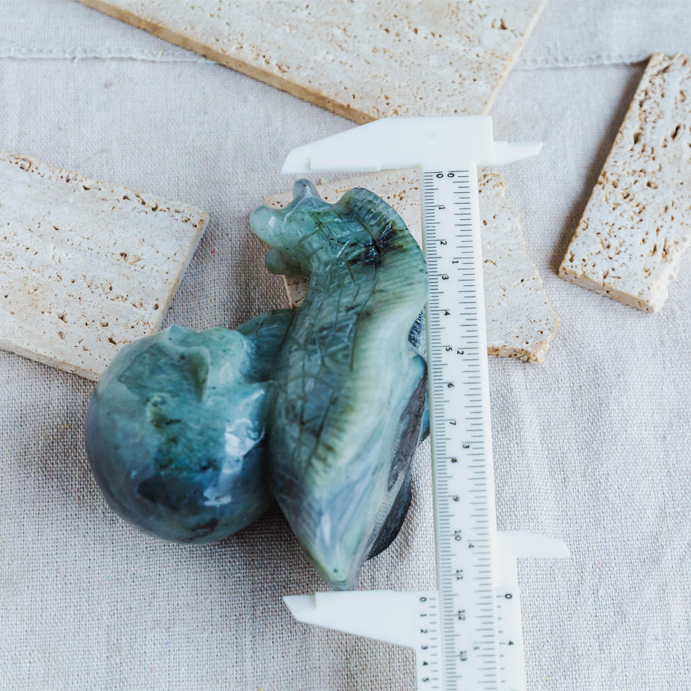 Labradorite Skull With Snail