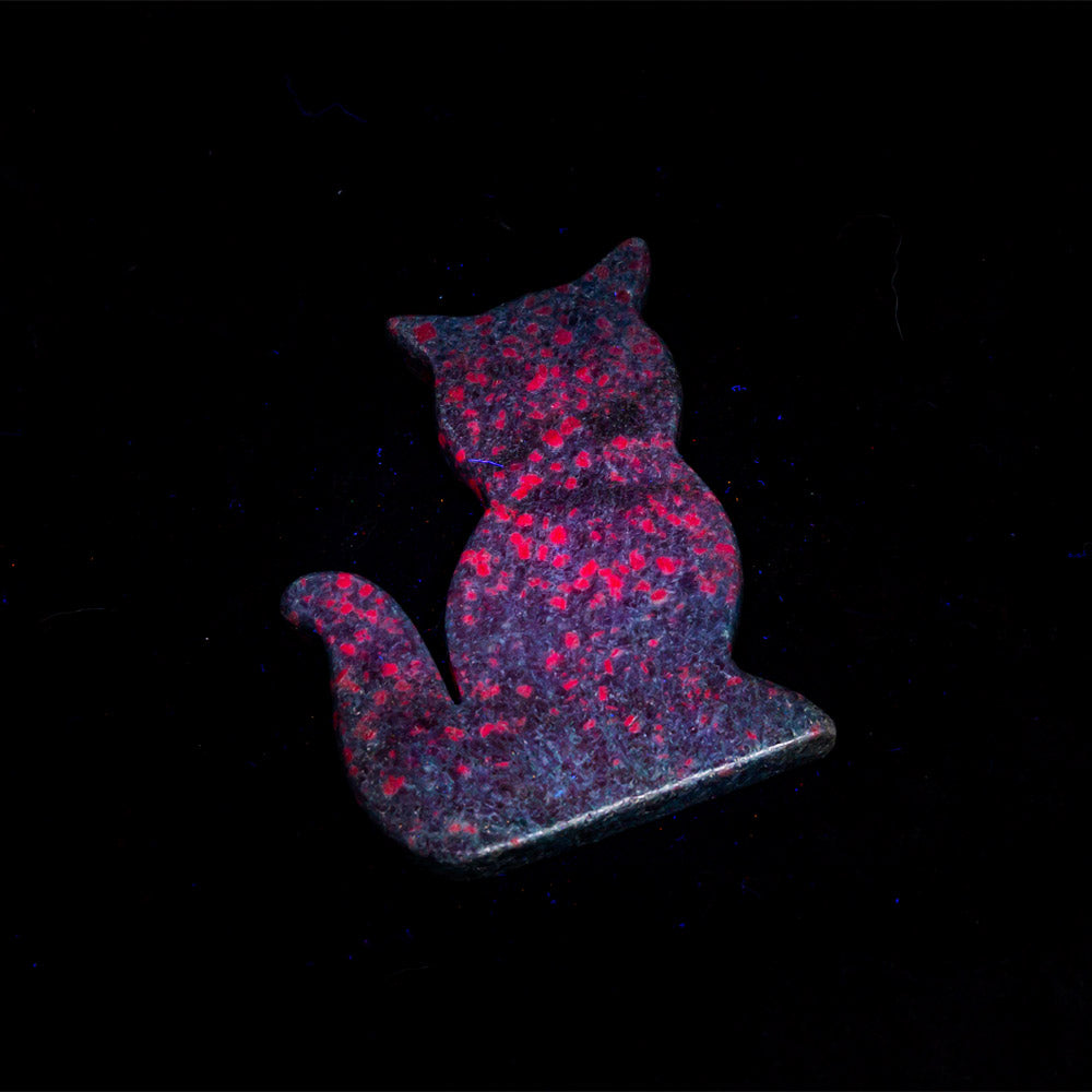 Ruby in Kyanite cat slice