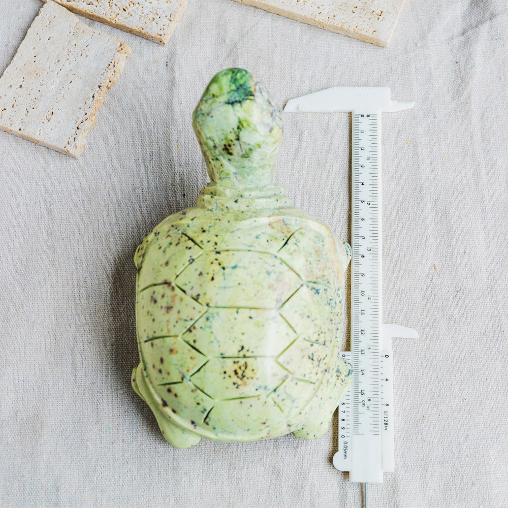 Serpentine Tortoise