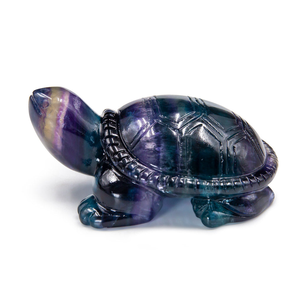 Rainbow Fluorite Turtle