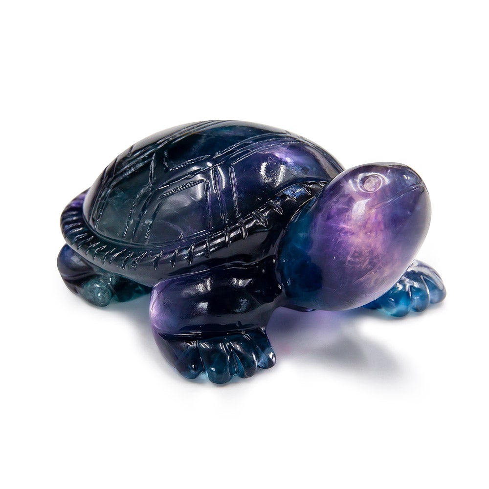 Rainbow Fluorite Turtle