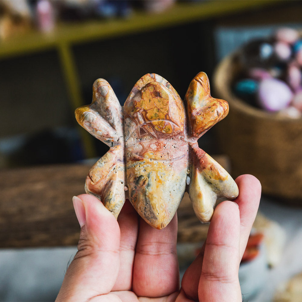 Crazy Lace Agate Spider