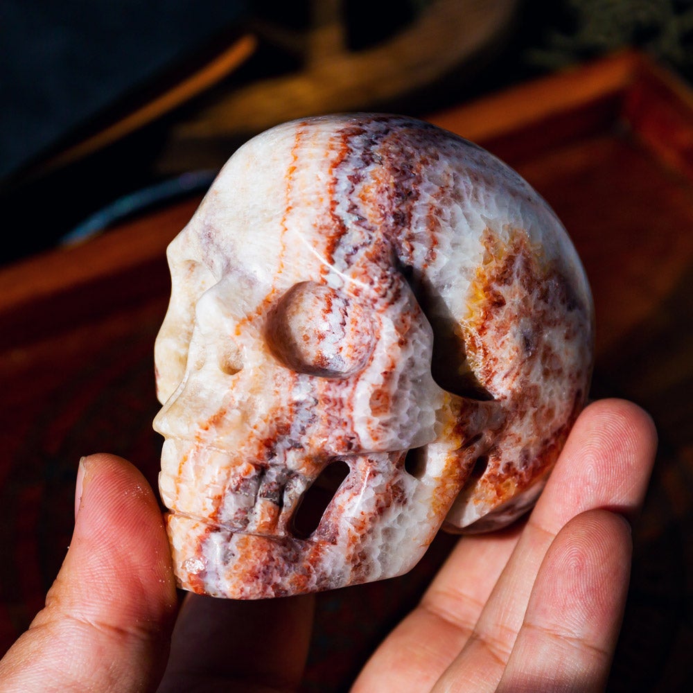 Dali jasper skull