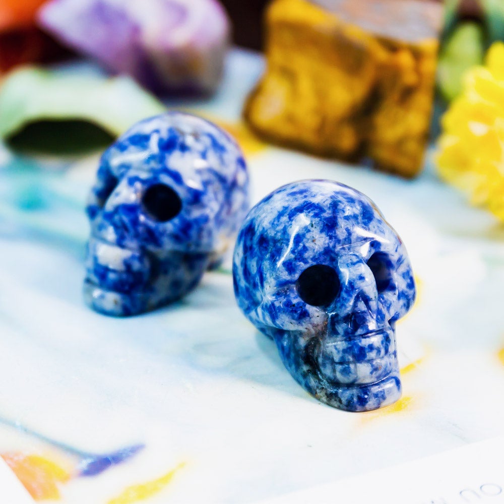 1.5" Sodalite Skull