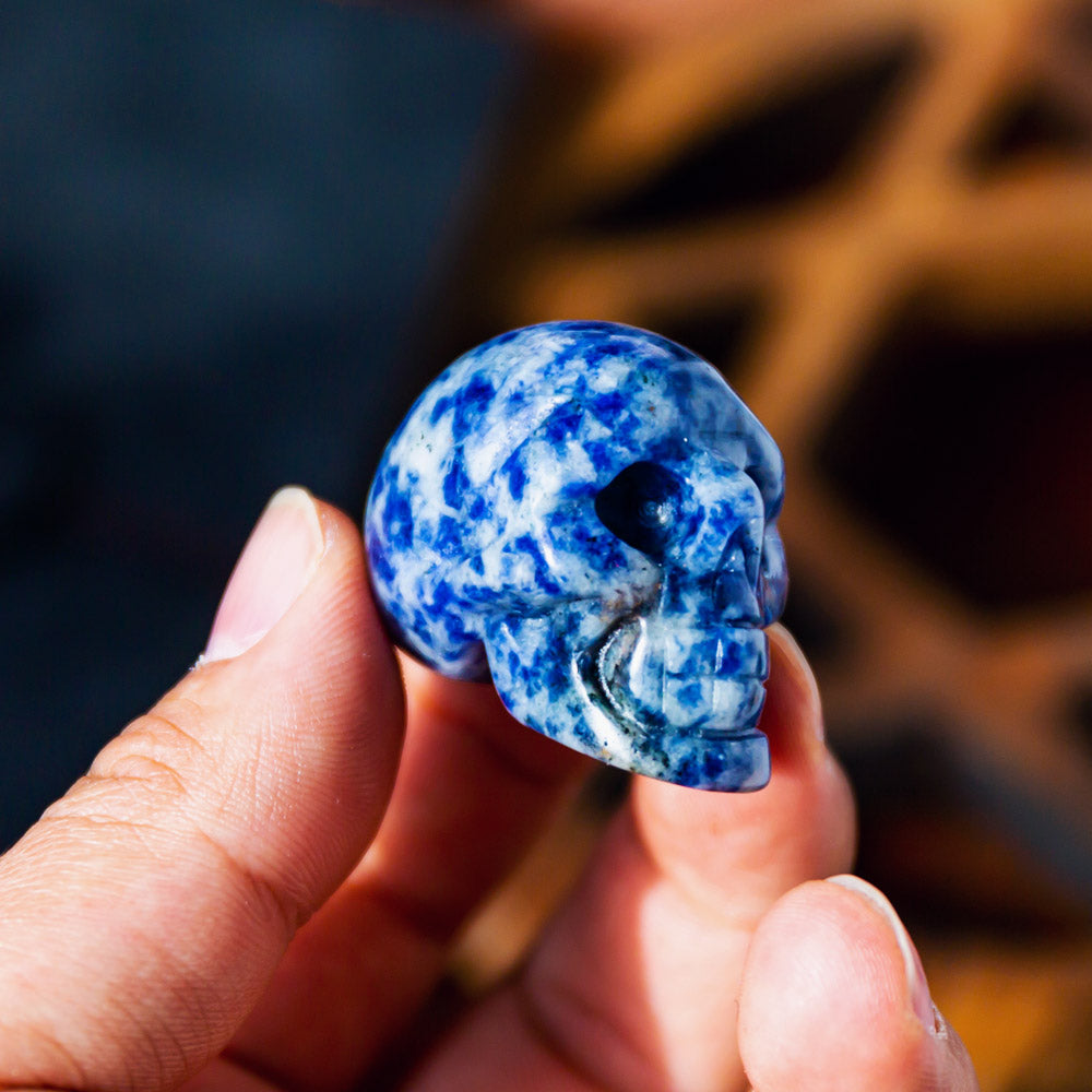 1.5" Sodalite Skull