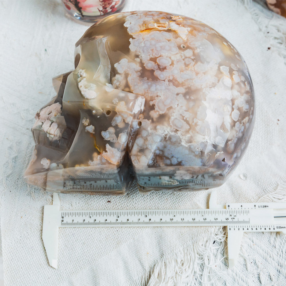 8" Flower Agate Skull