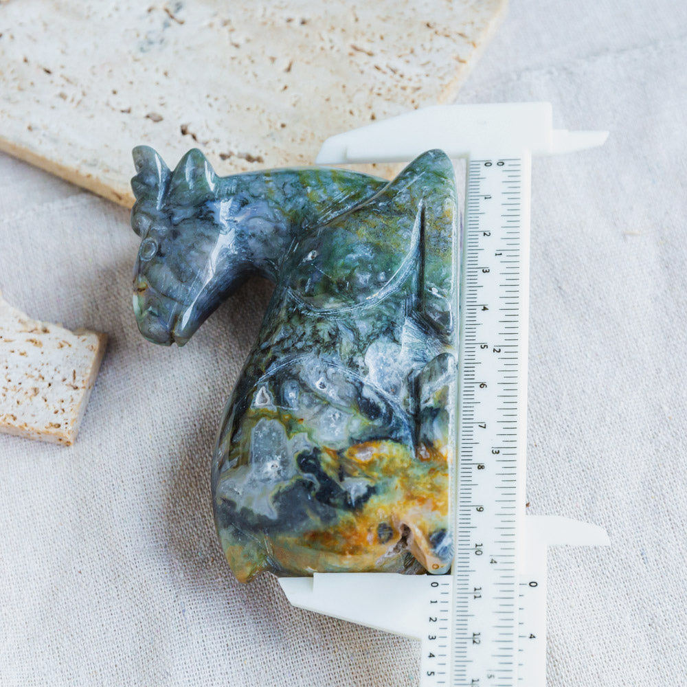 Ocean Jasper Deer