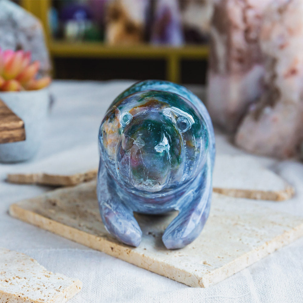 Ocean Jasper Manatee