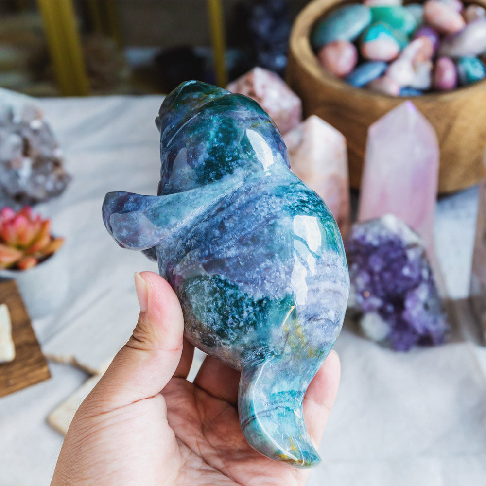 Ocean Jasper Manatee