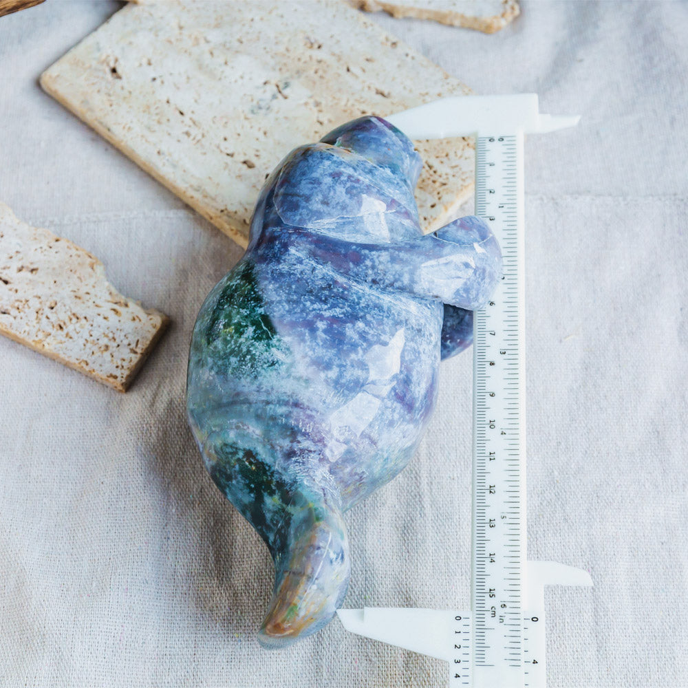 Ocean Jasper Manatee