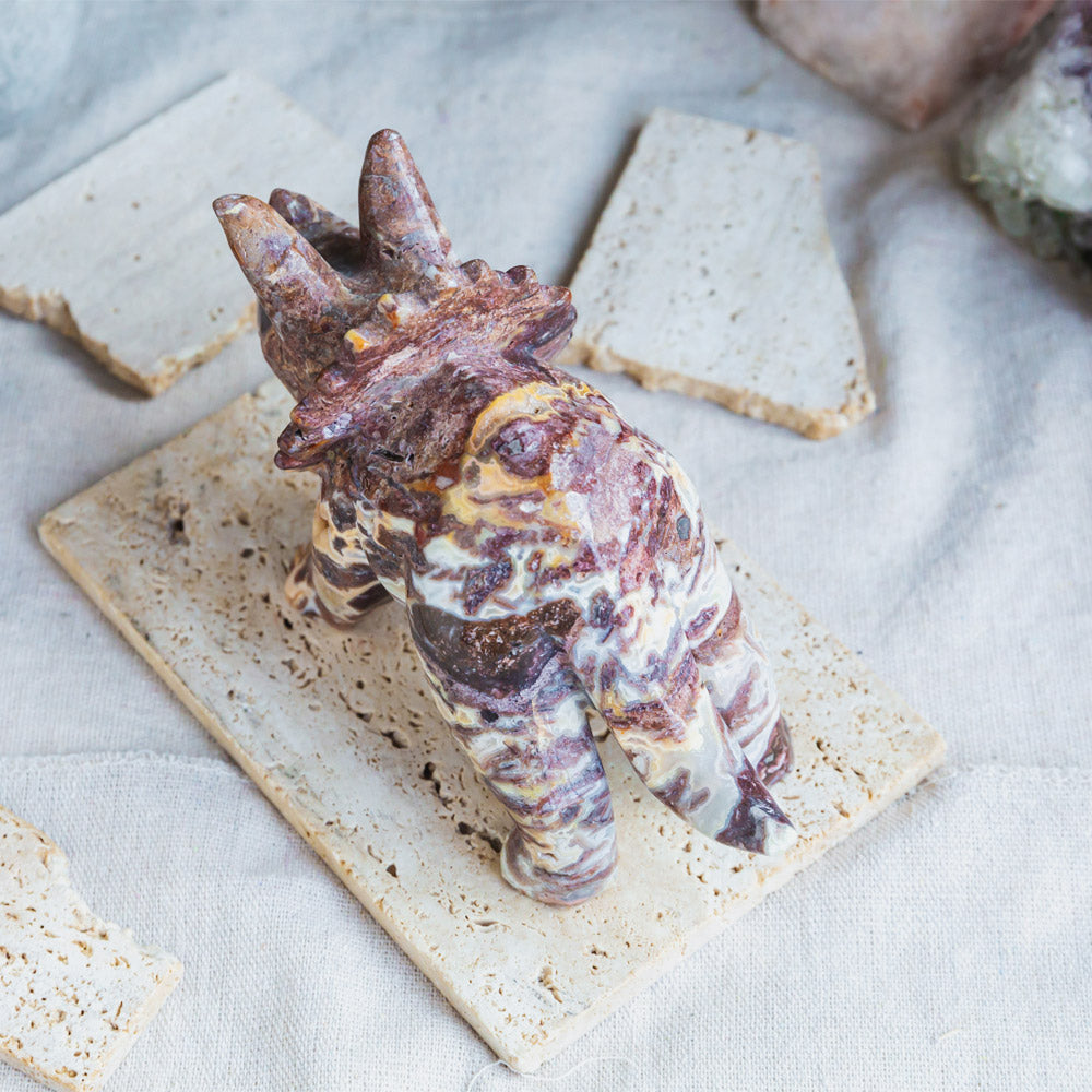 Mexico Sardonyx Triceratops