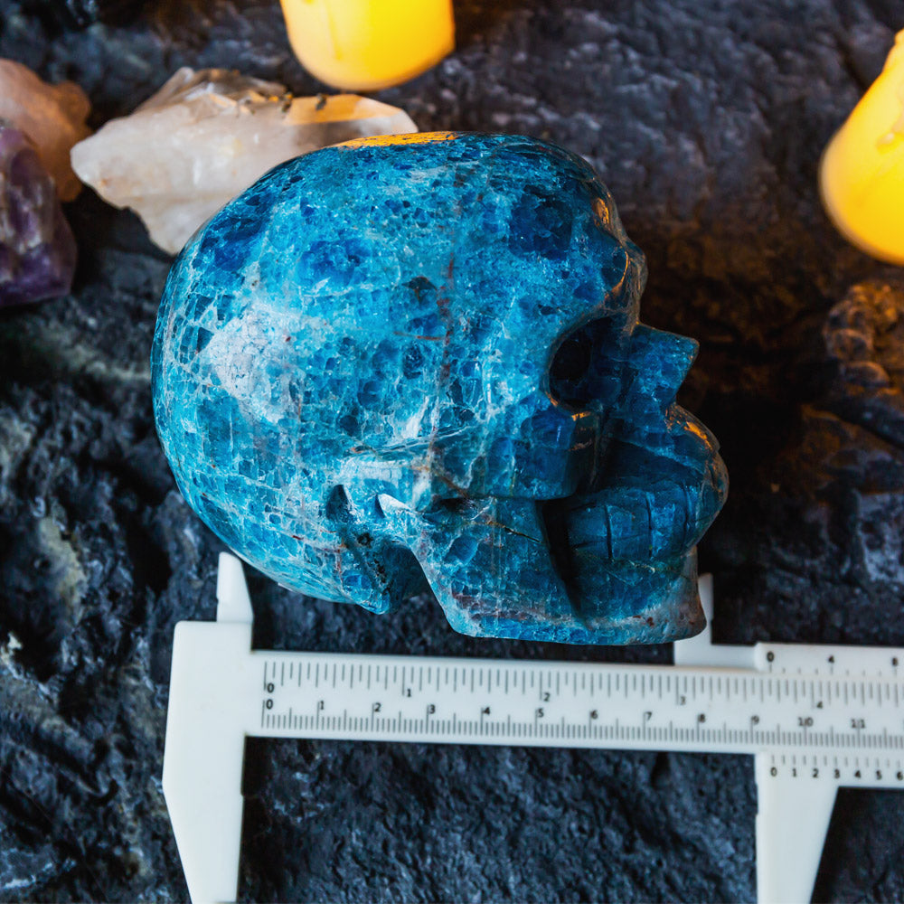 Blue Apatite Skull