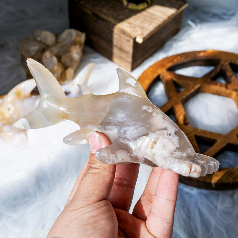 Flower Agate Shark