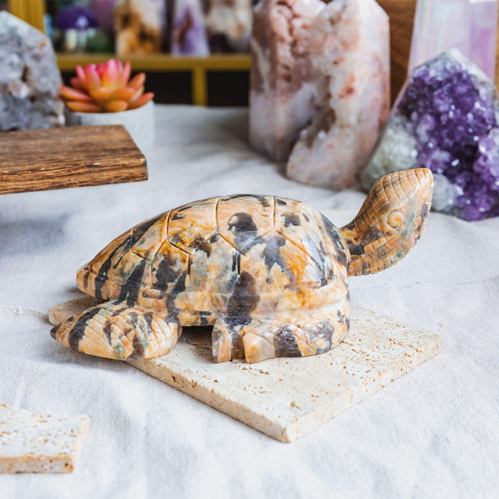 Orange Moonstone With Smokey Quartz Turtle