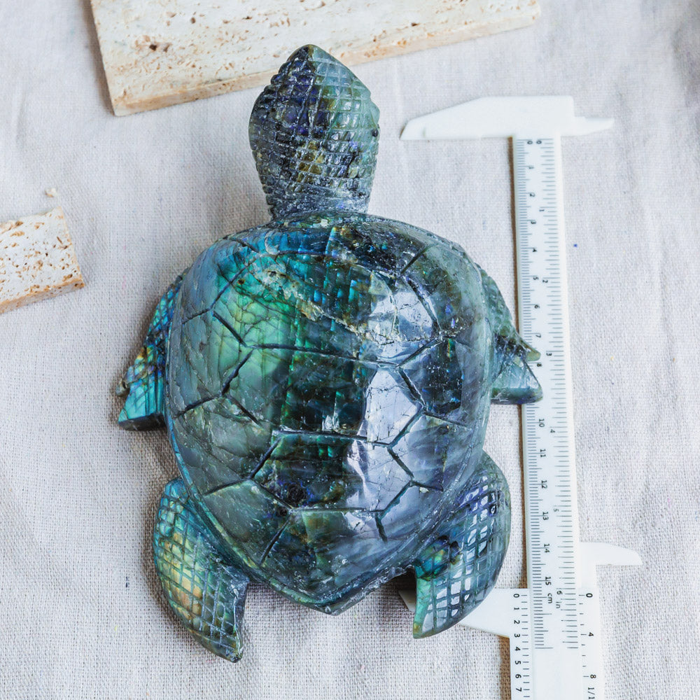 Labradorite Turtle