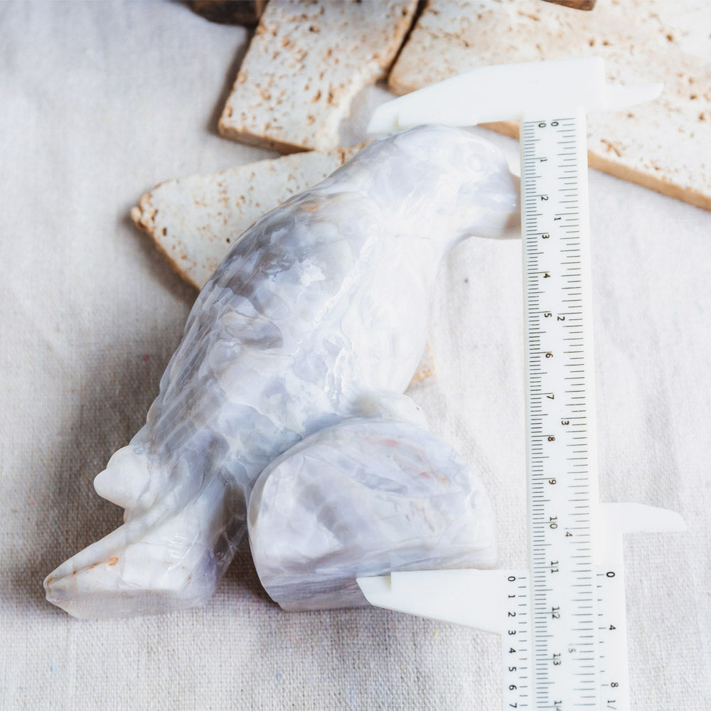 White Crazy Lace Agate Crow