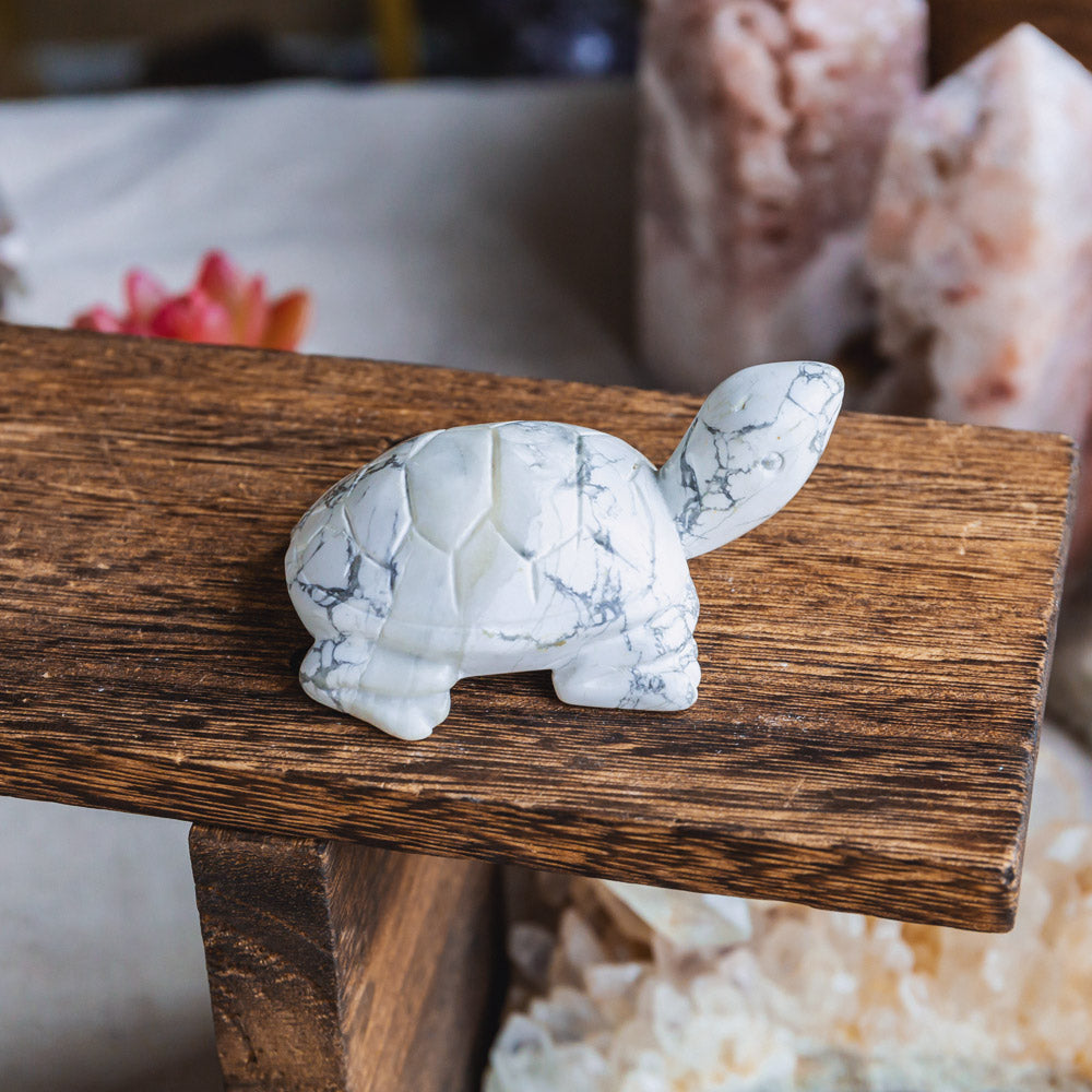 Howlite Tortoise