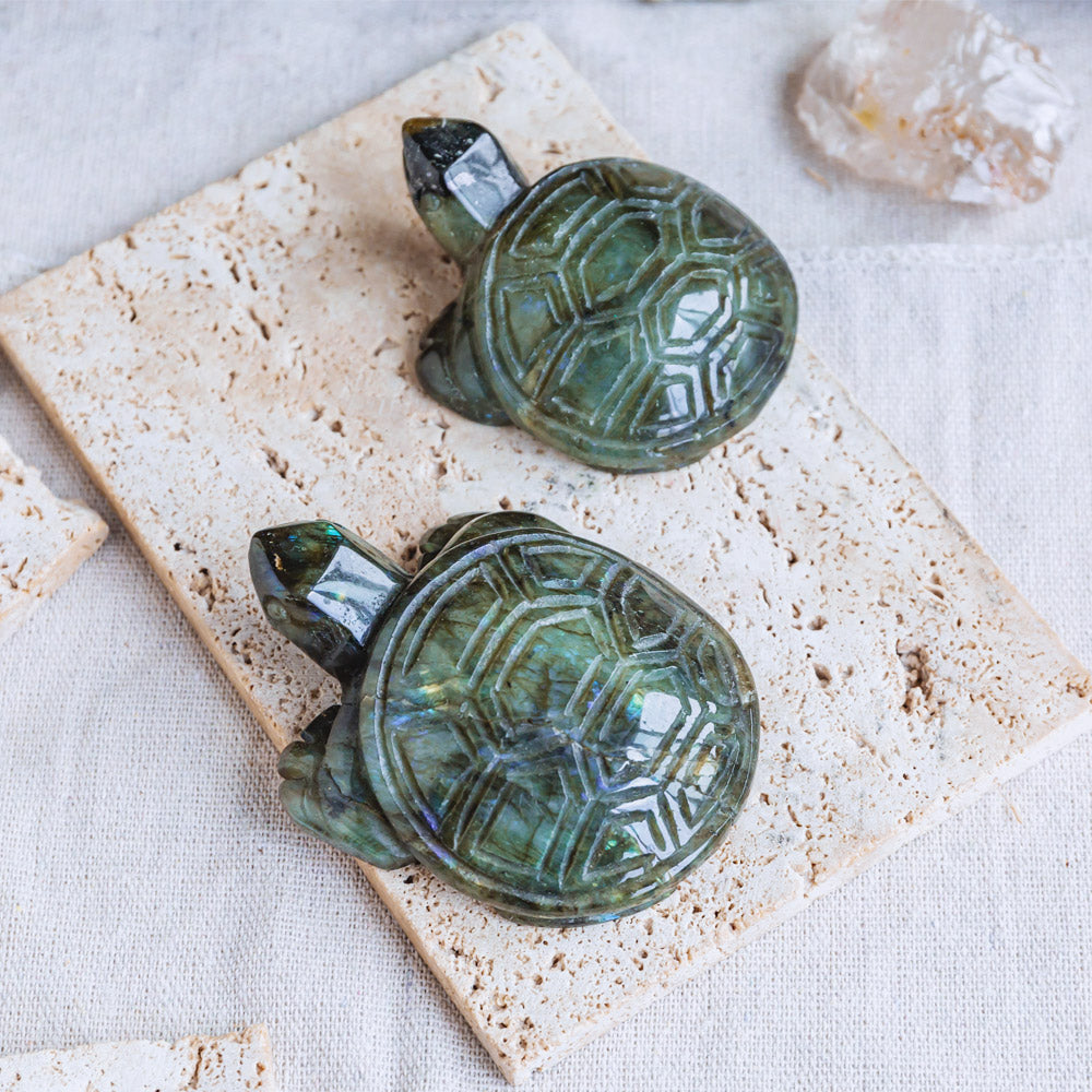 Labradorite Tortoise