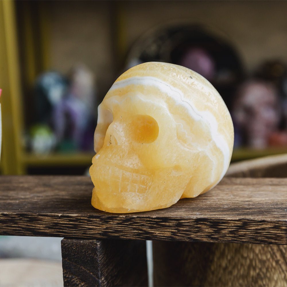 Zebra Calcite Skull