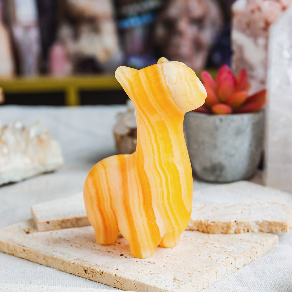 Banding Orange Calcite Llama