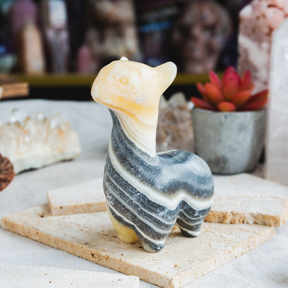 Zebra Calcite Llama