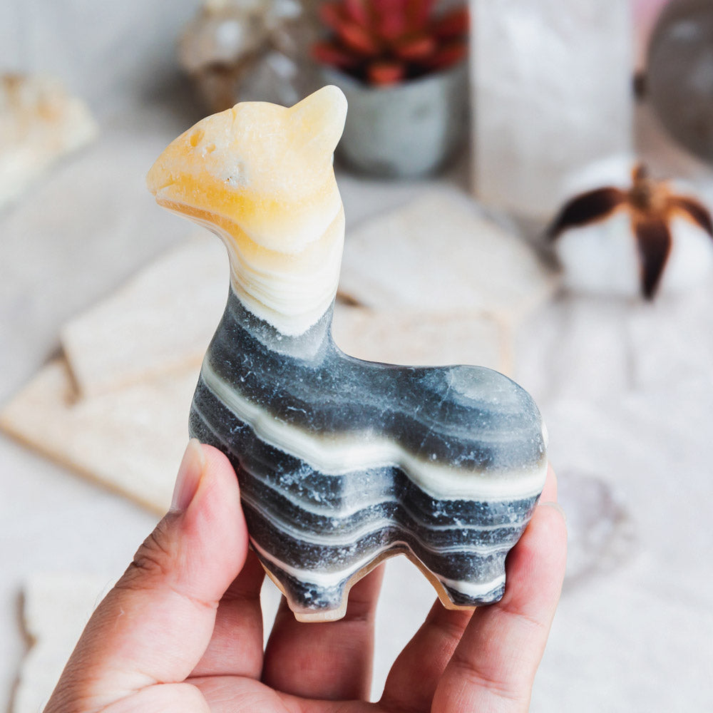 Zebra Calcite Llama