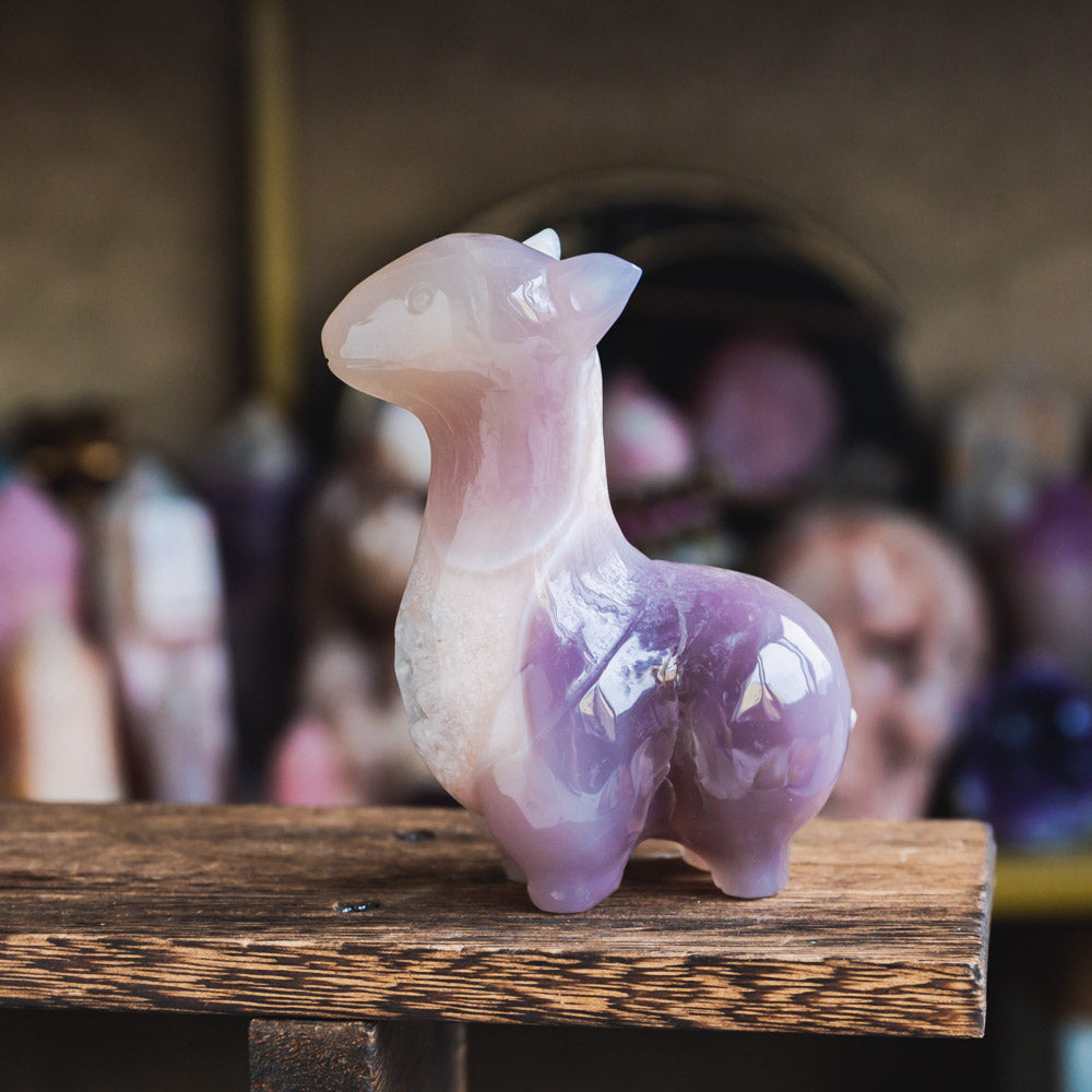 Agate Llama