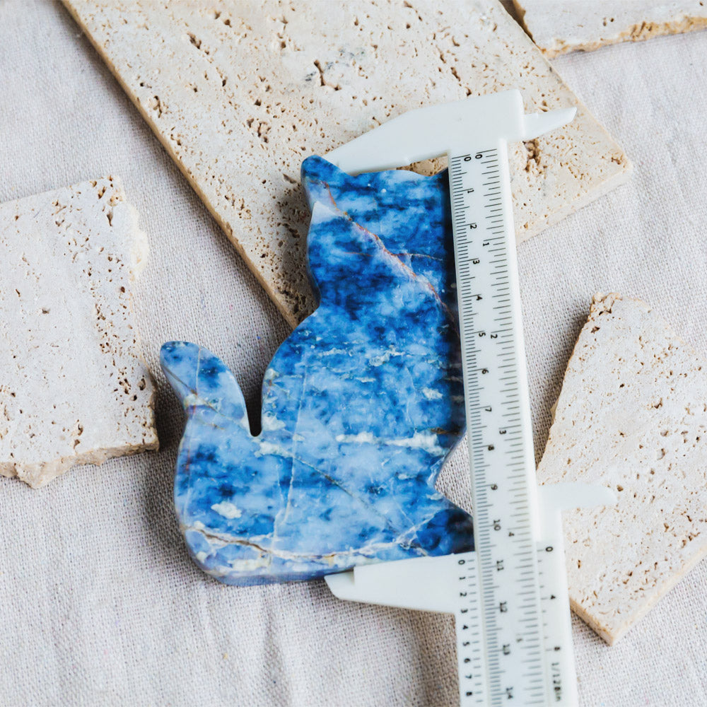 Blue Opal Cat Slice