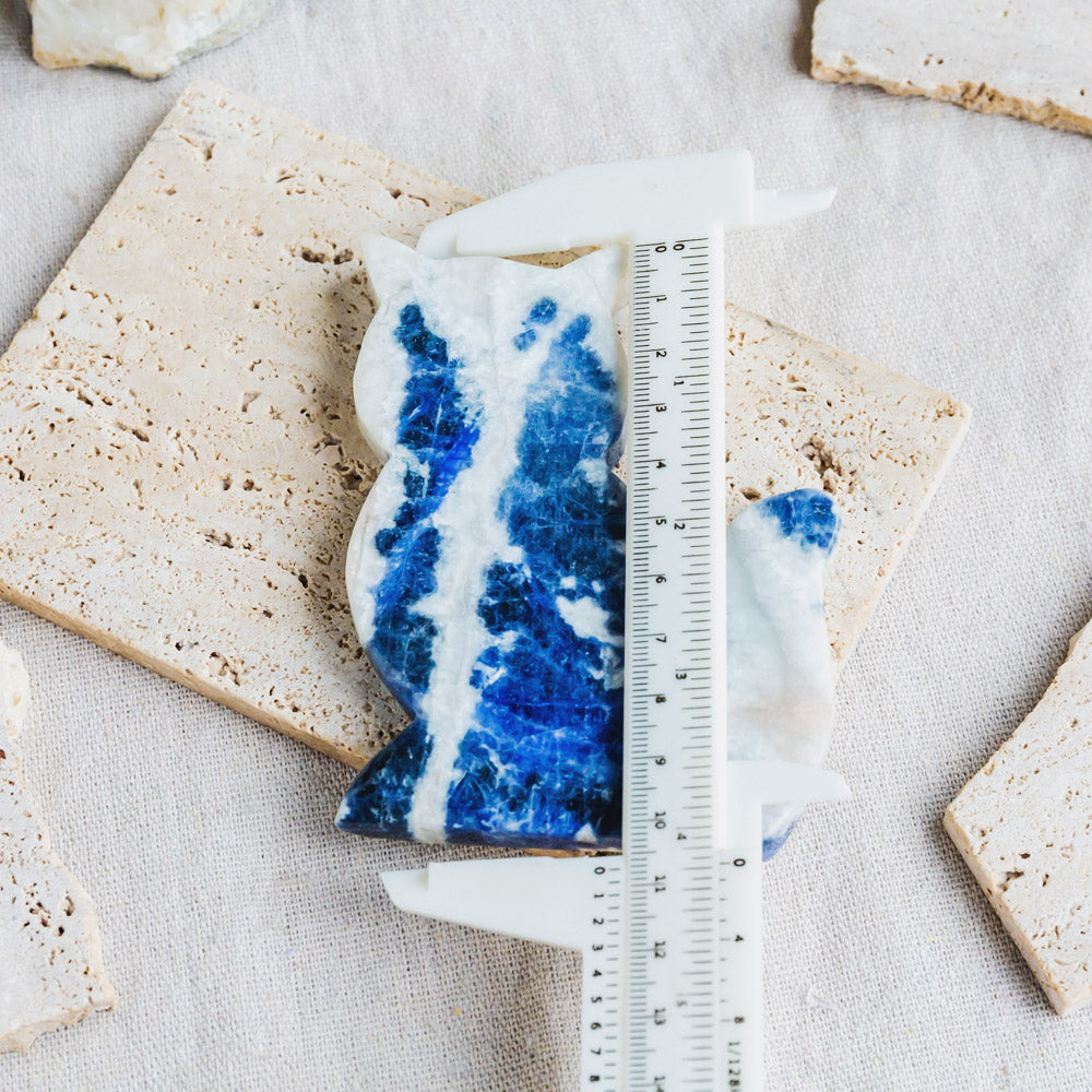 Sodalite Cat Slice