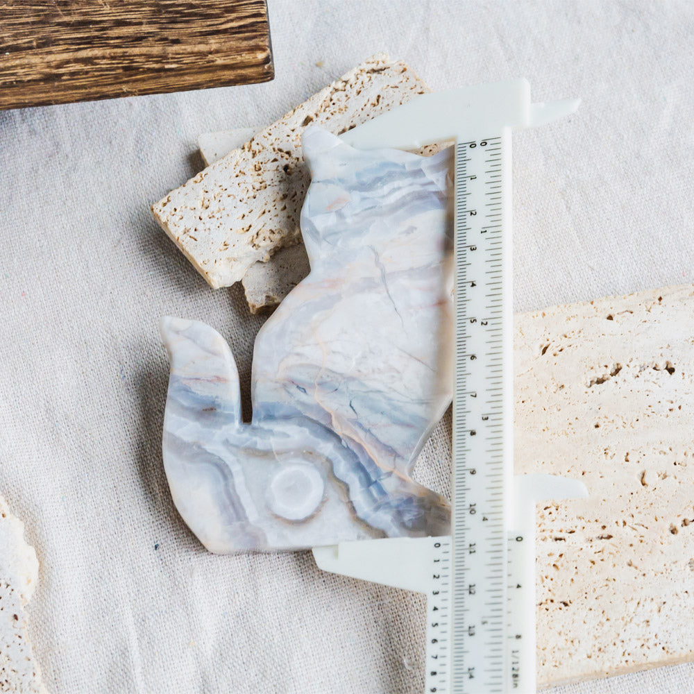 White Crazy Lace Agate Cat Slice