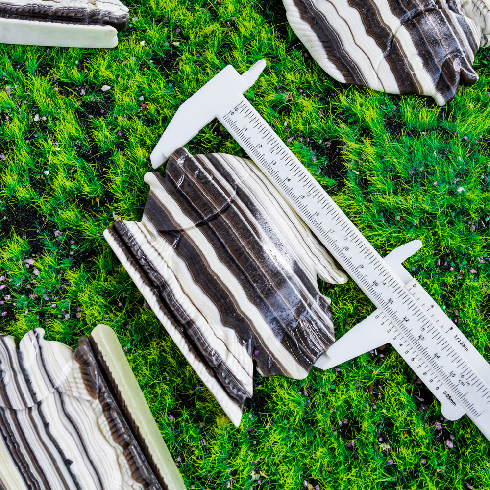 Zebra Calcite Fish