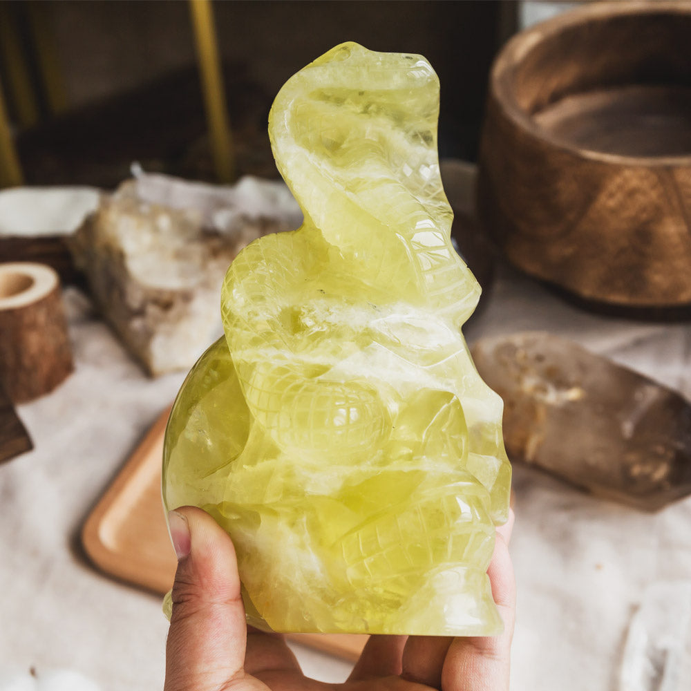 Citrine Skull With Snake