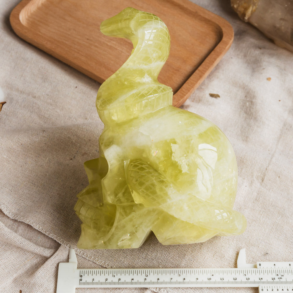 Citrine Skull With Snake