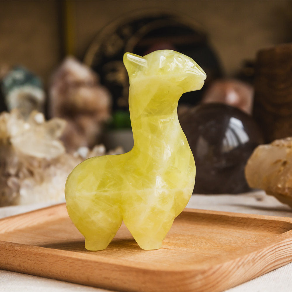 Citrine Llama