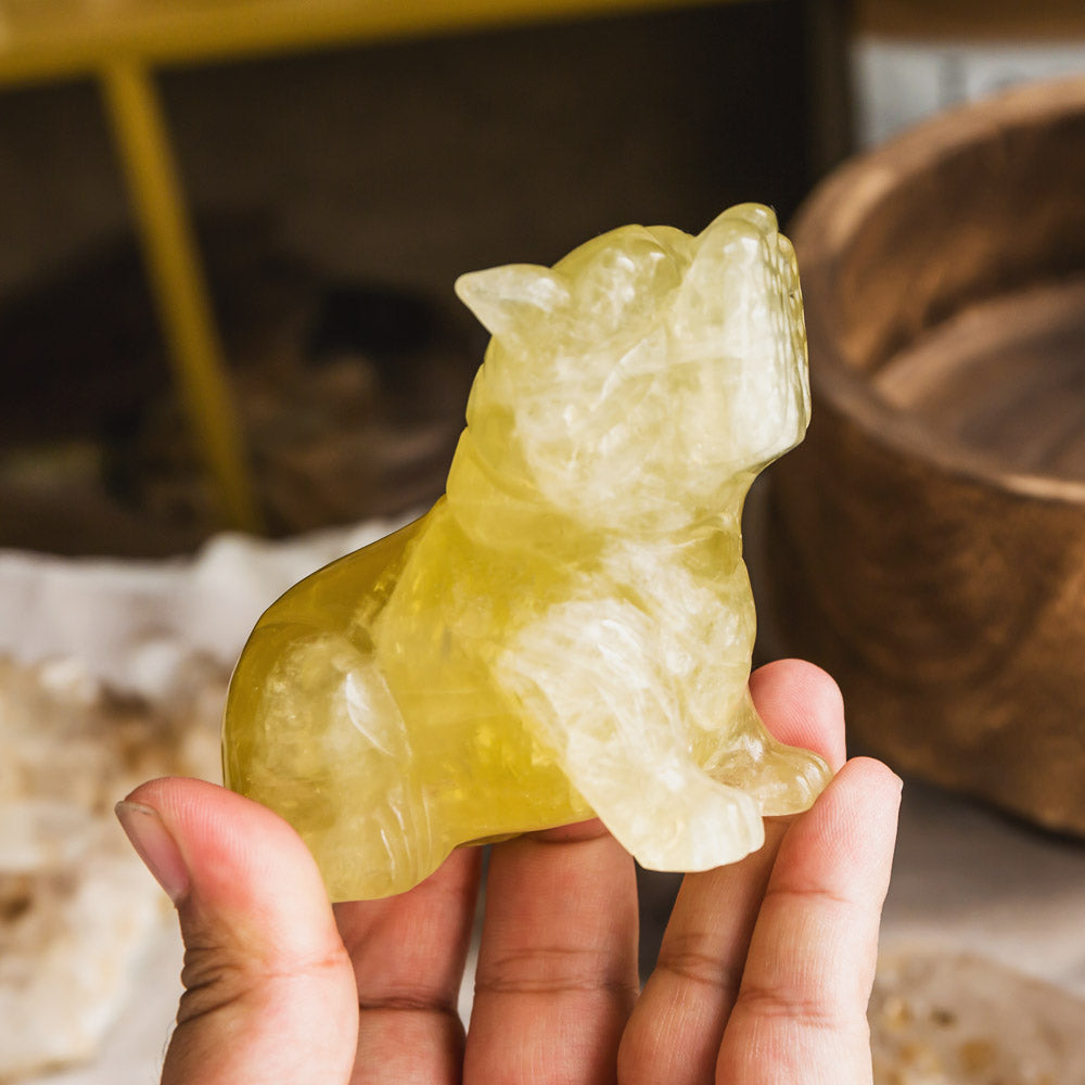 Citrine Dog