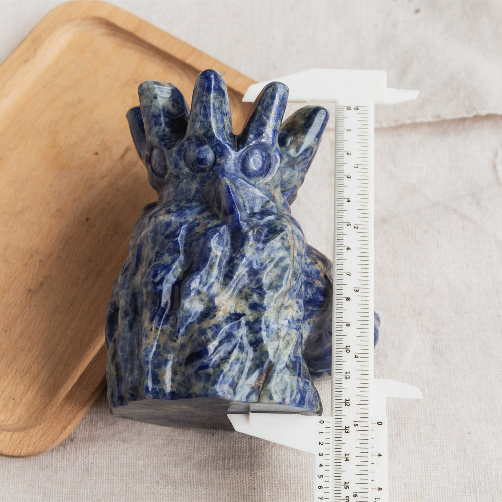 Sodalite Lion Head