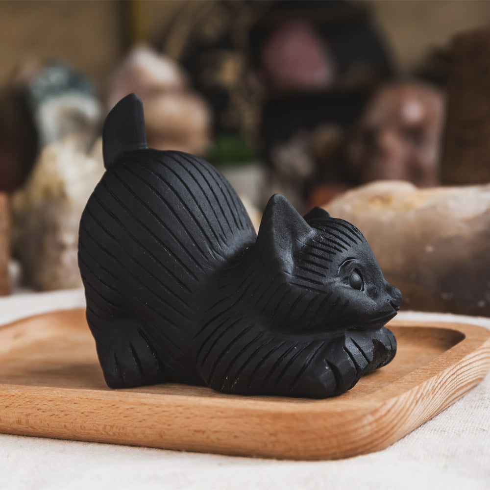 Black Obsidian Cat