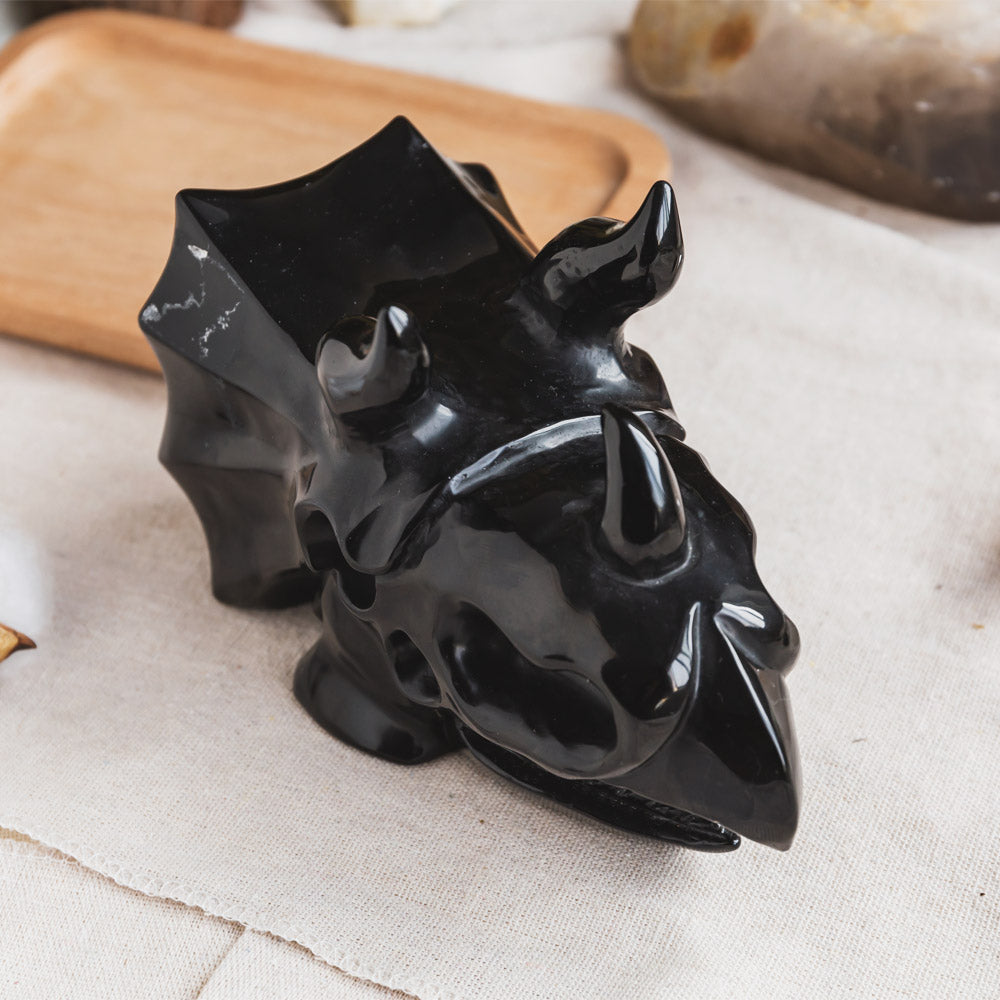 Black Obsidian Triceratops Head