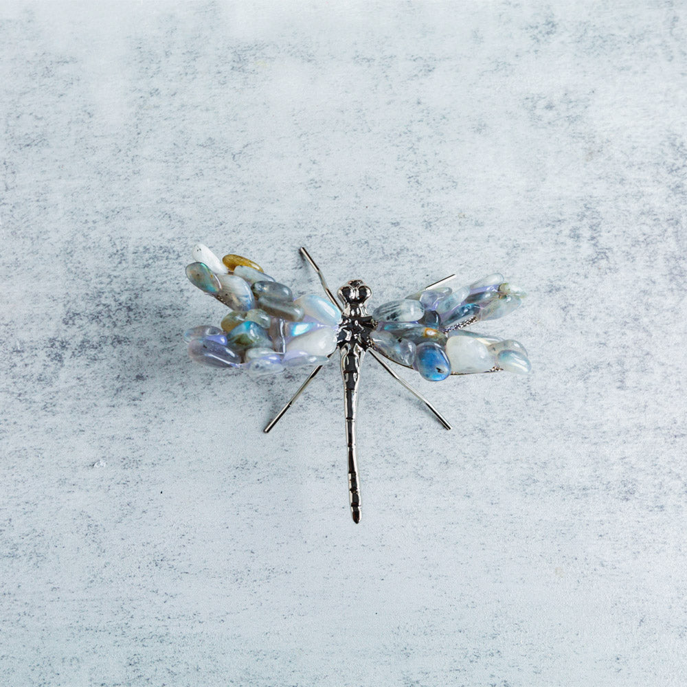 Crystal Dragonfly