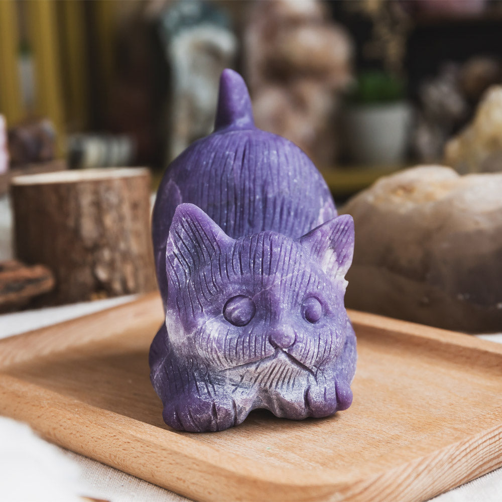 Purple Mica Cat