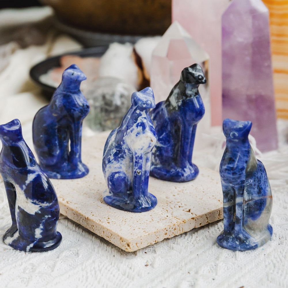 Sodalite Cat