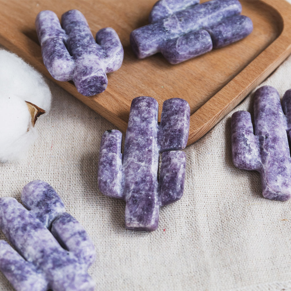 Purple Mica Cactus