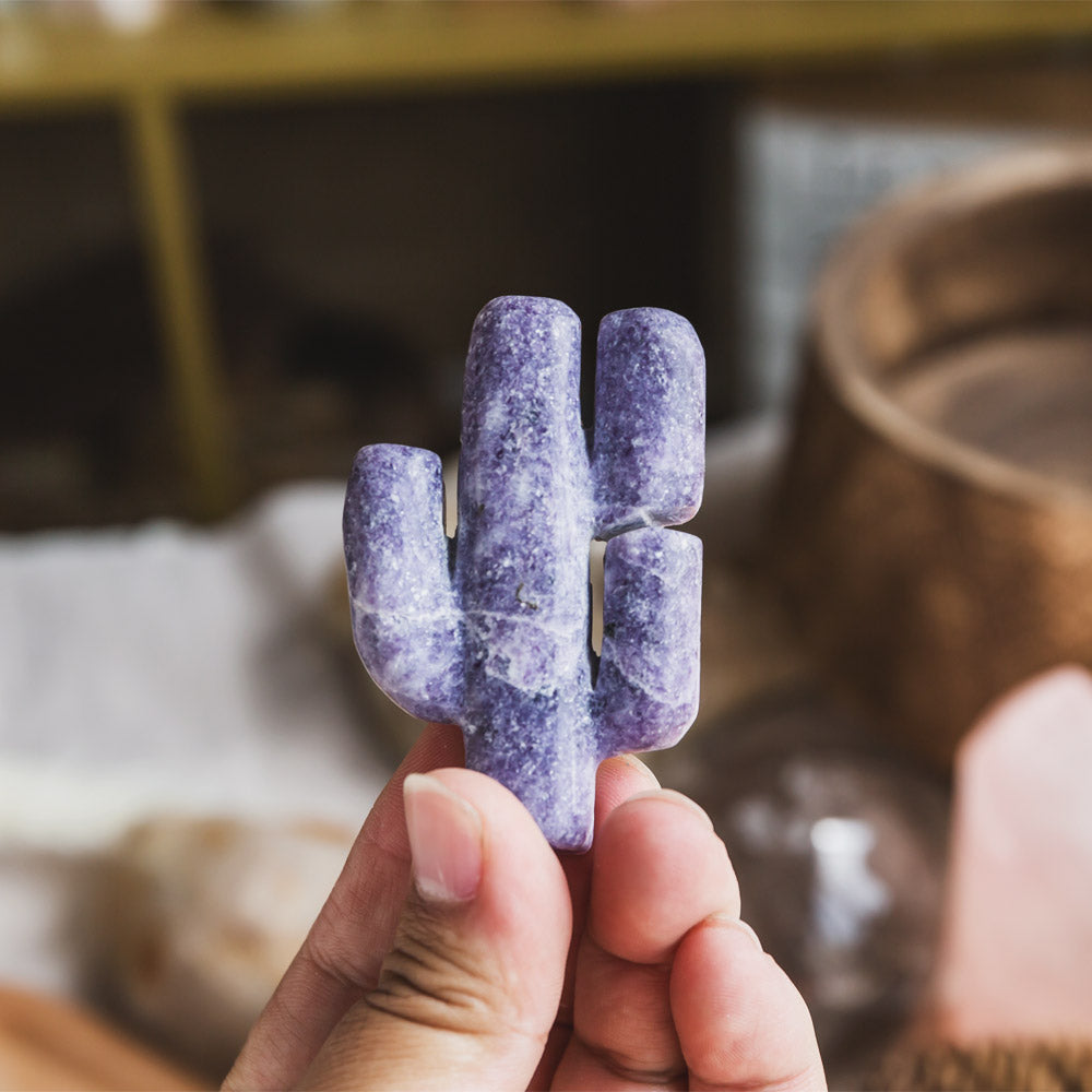 Purple Mica Cactus