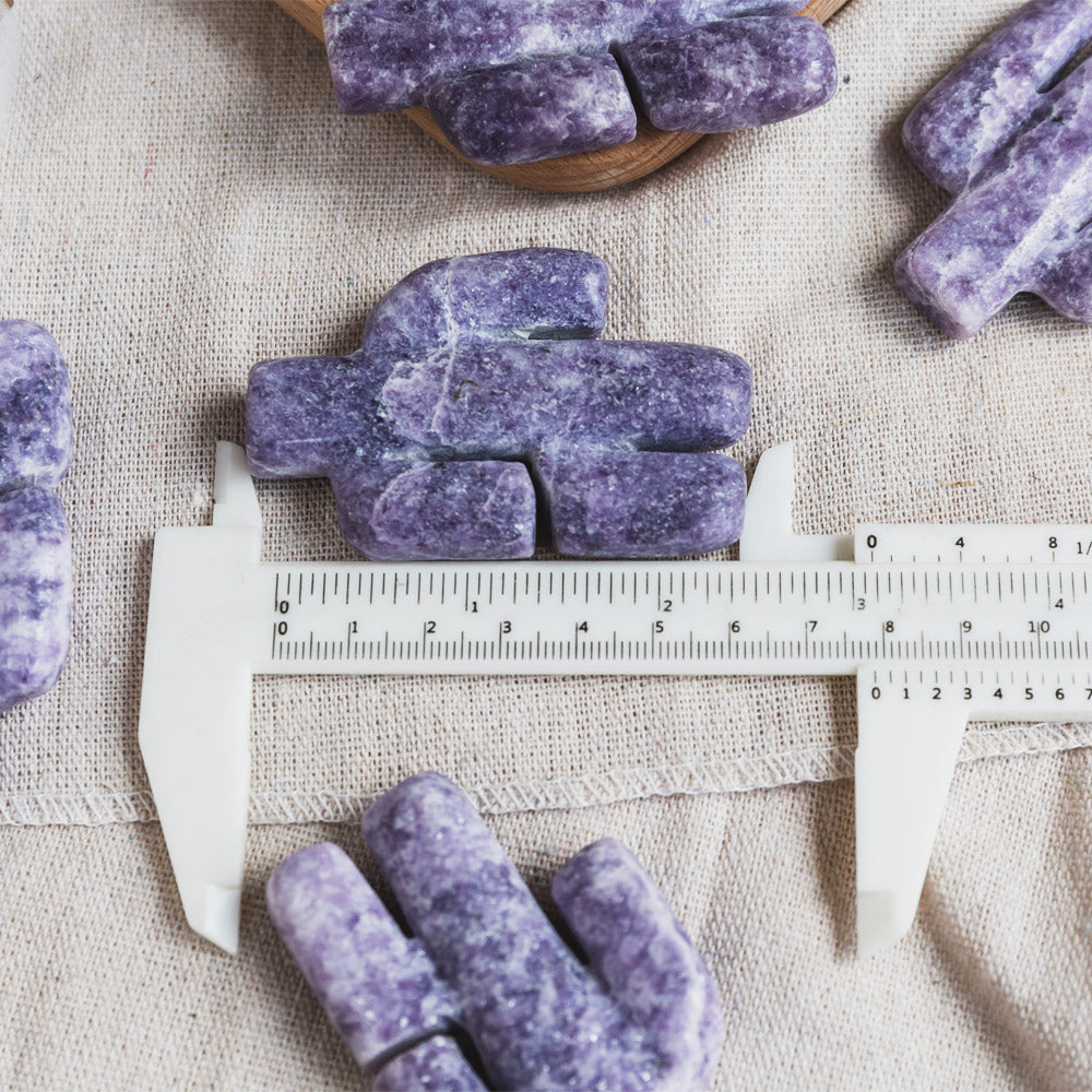 Purple Mica Cactus