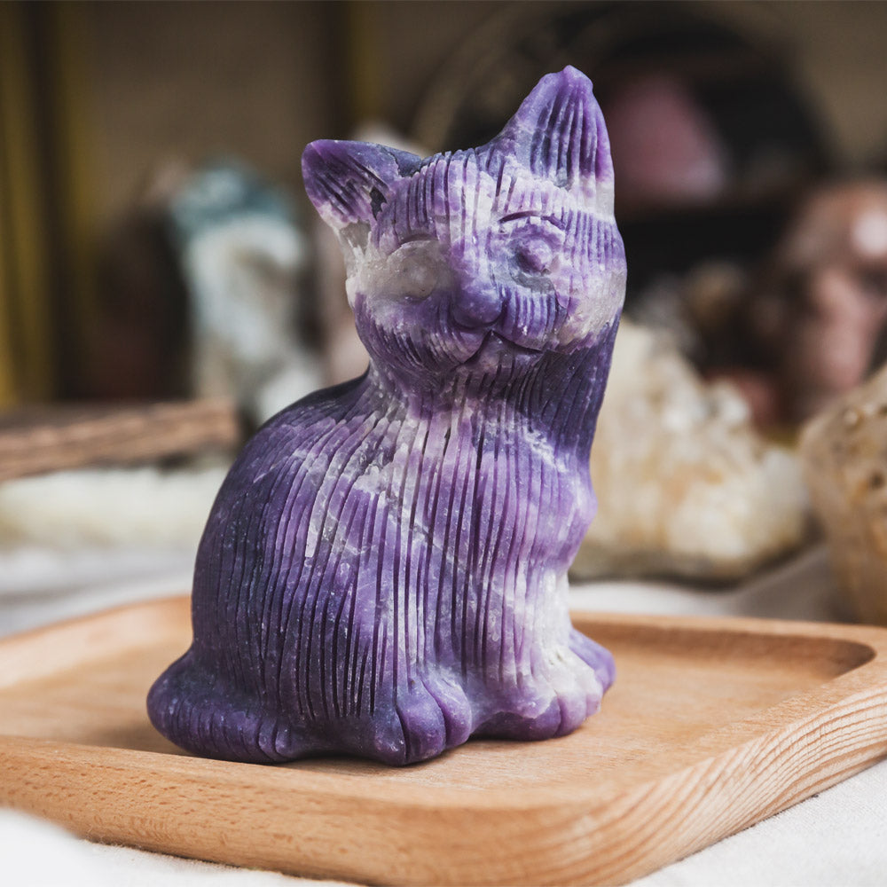 Purple Mica Cat