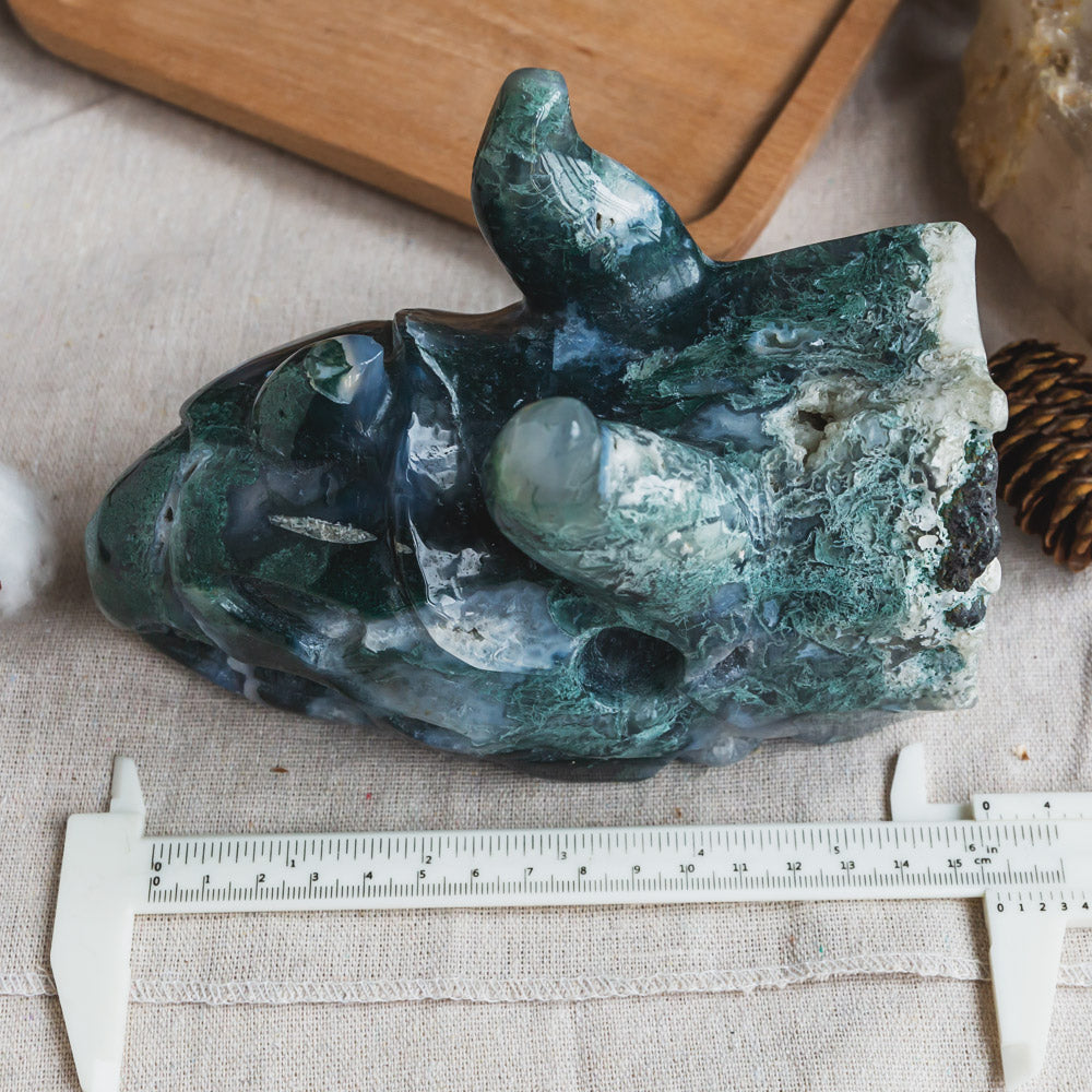 Moss Agate Triceratops